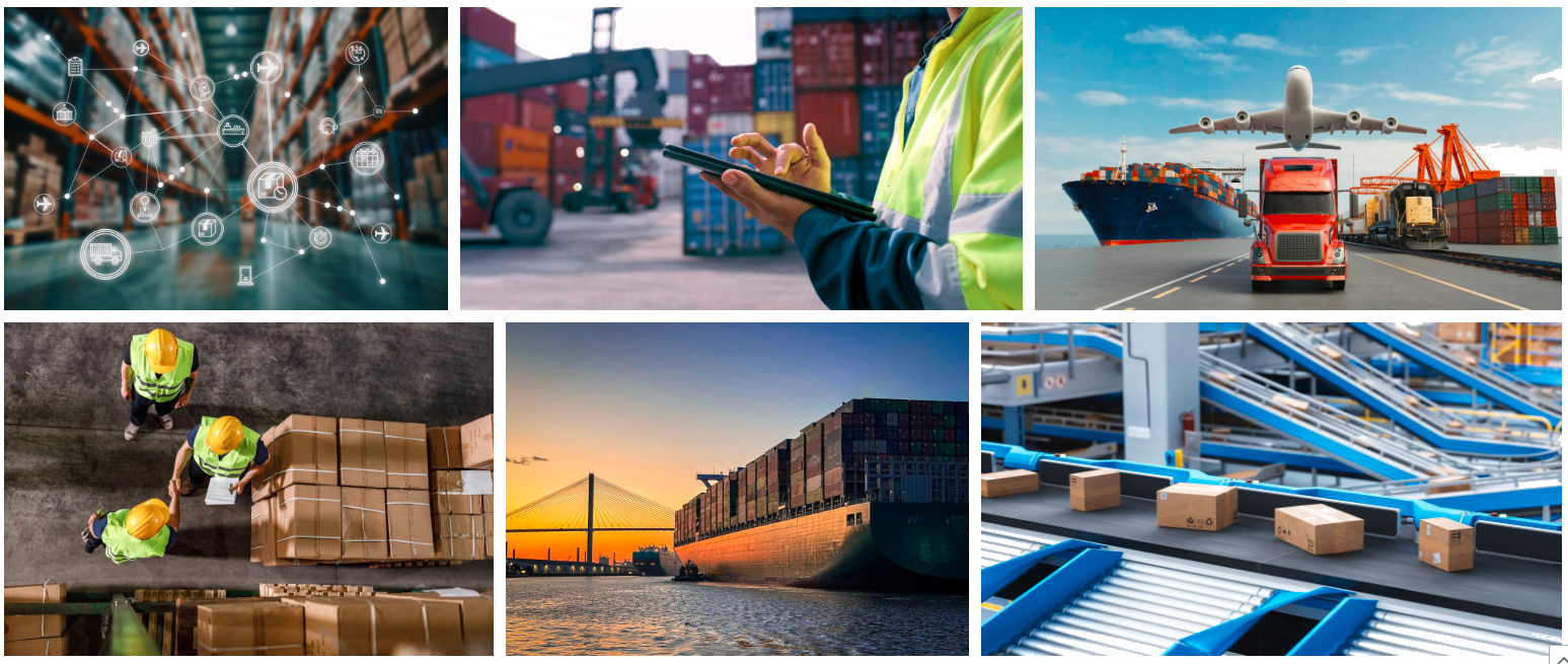 We Provide Global Shipping Services For Our Products Image